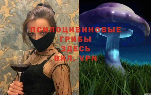 spice Семёнов