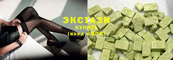 индика Армянск
