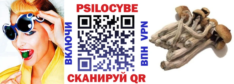 Псилоцибиновые грибы прущие грибы  купить наркотик  Семёнов 